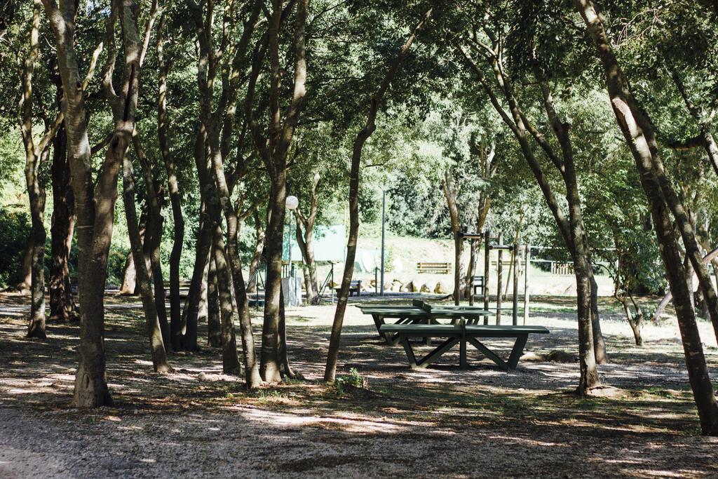 Camping Le Bois Fleuri Argelès-sur-Mer Eksteriør billede