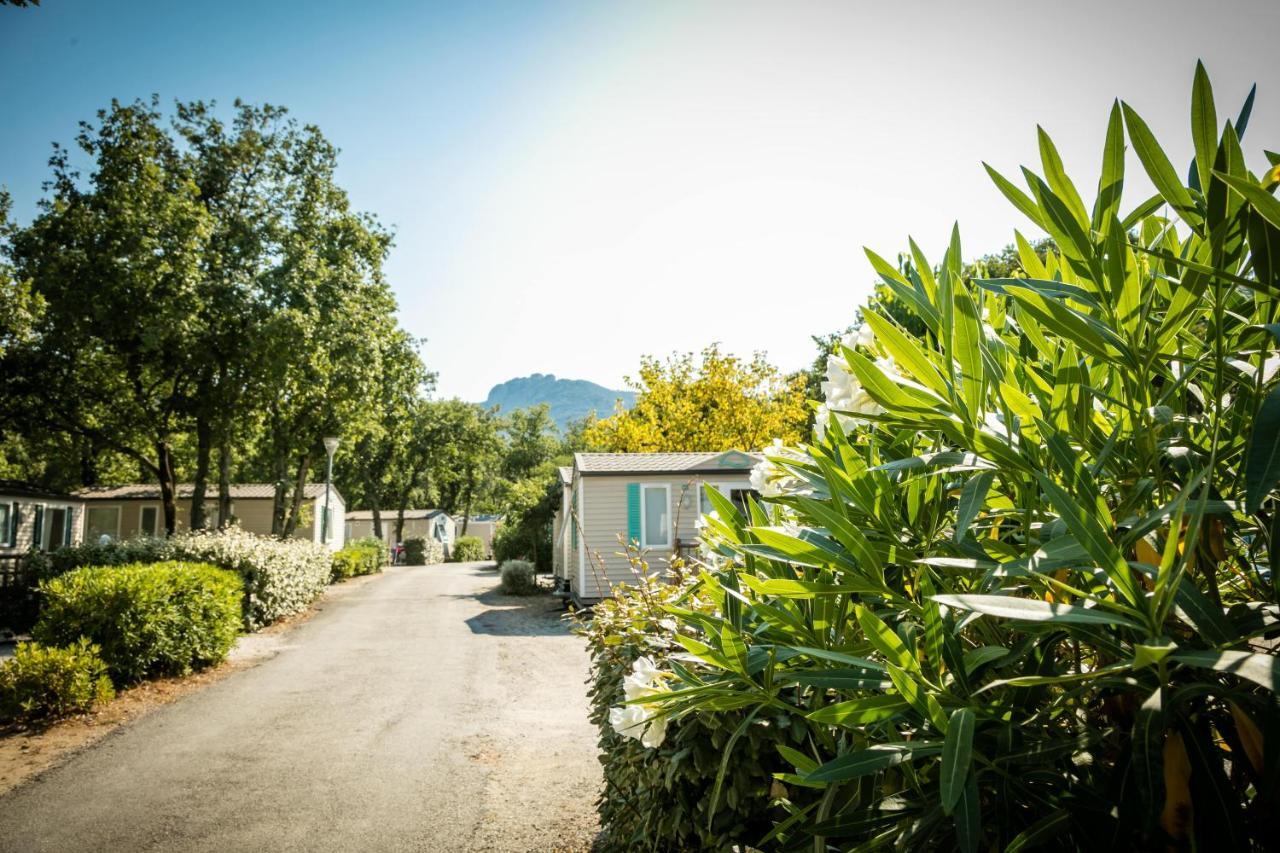 Camping Le Bois Fleuri Argelès-sur-Mer Eksteriør billede